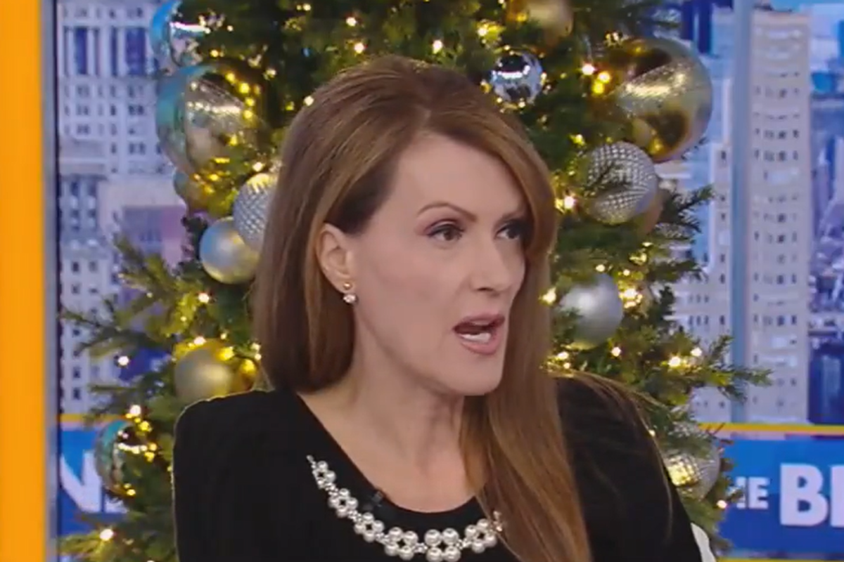 Fox host sparks debate urging people to buy fake Christmas trees to support AI data centres