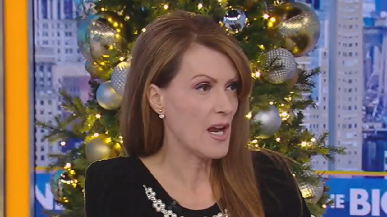 Fox host sparks debate urging people to buy fake Christmas trees to support AI data centres