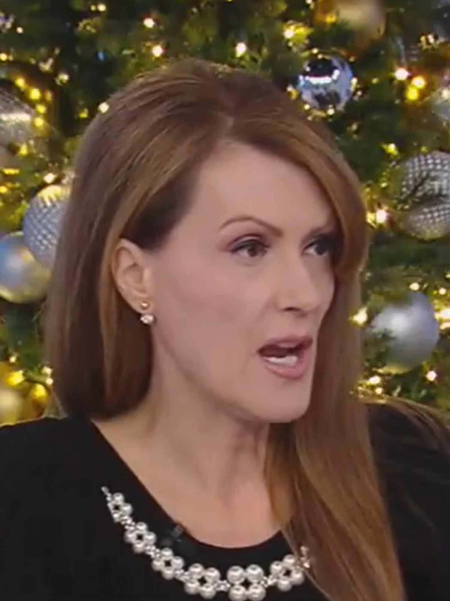 Fox host sparks debate urging people to buy fake Christmas trees to support AI data centres