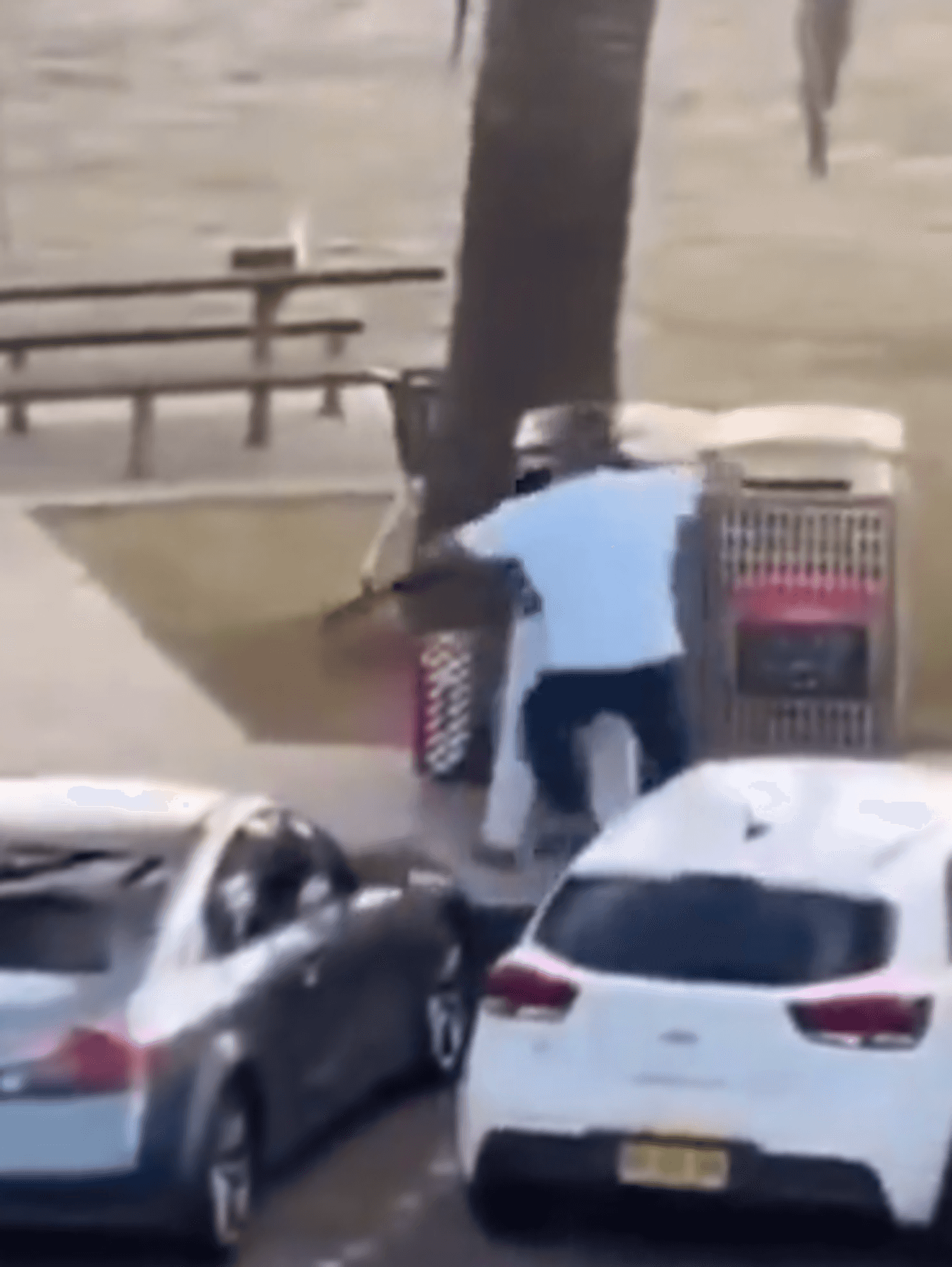 Hero bystander who disarmed alleged Bondi beach shooting gunman praised around the world