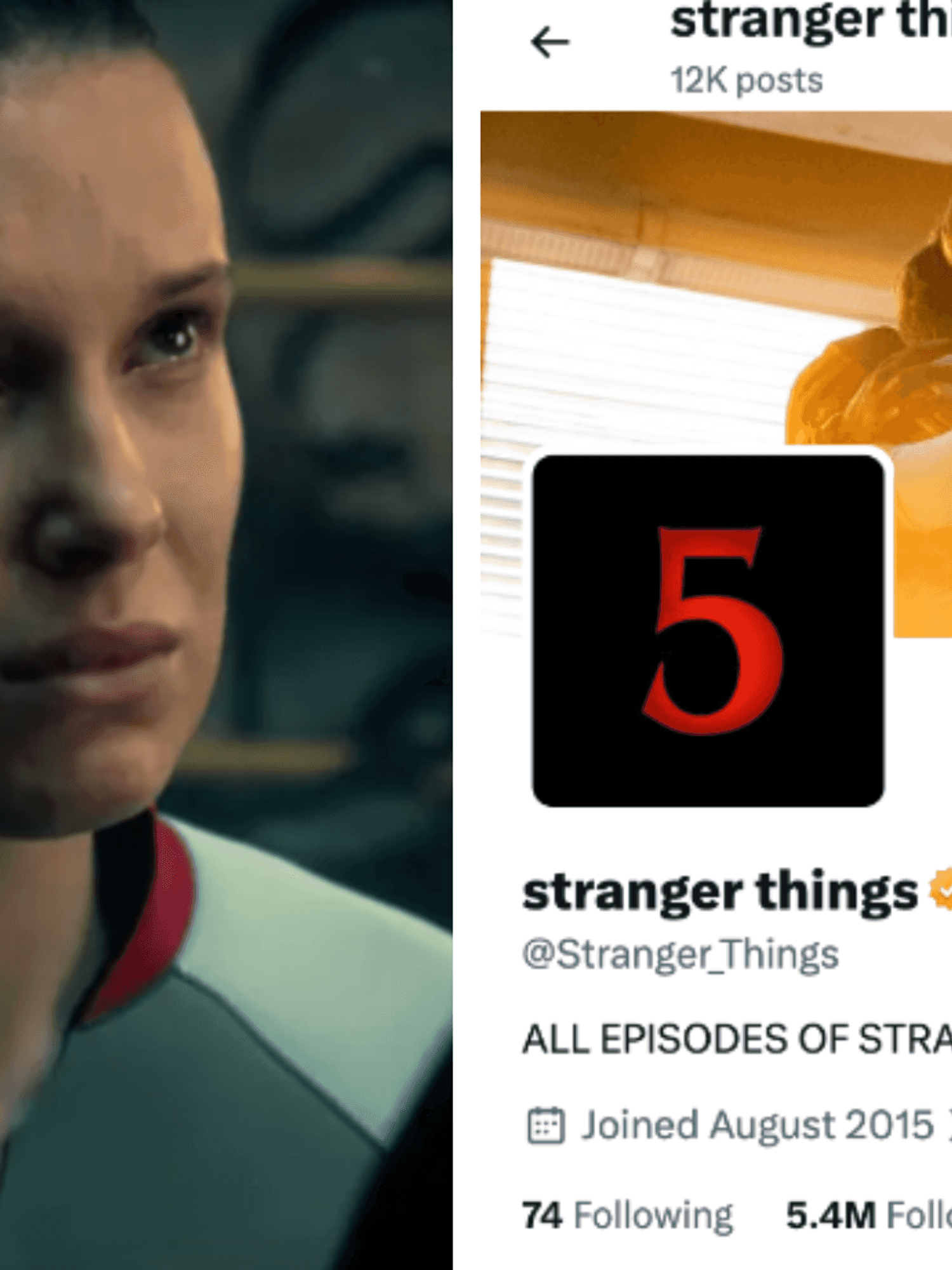 'Embarrassing' Stranger Things secret episode 'Conformity Gate' conspiracy falls flat amid 'Netflix crash'