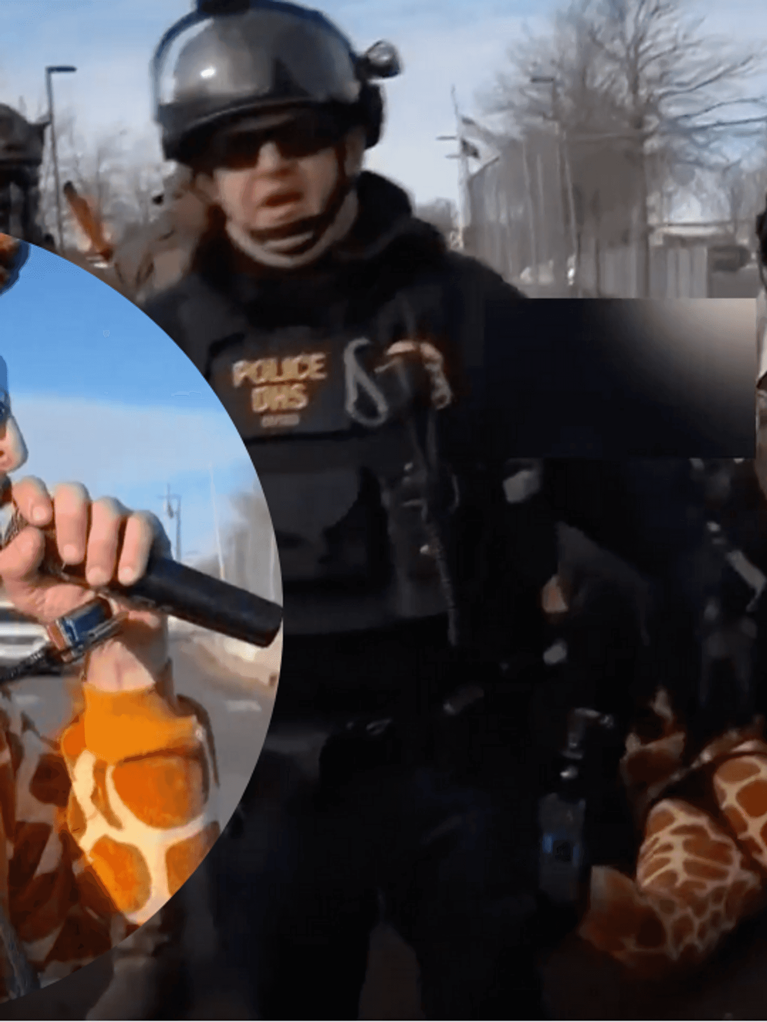 Stop giraffing around: ICE arrest protestor dressed as giraffe in Minneapolis