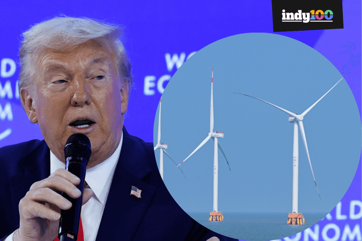 Donald Trump instantly rebuked by China over 'loser' wind farm comments