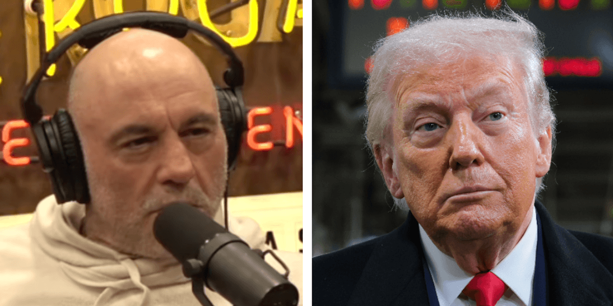 Joe Rogan raises theory about Trump, ICE, and the Epstein Files as a ...