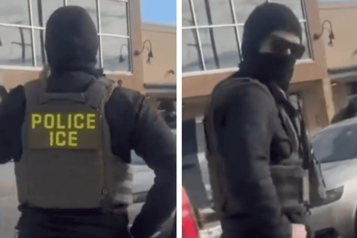 ICE agent roasted after bragging about '$200k salary': 'I'd do this for free'