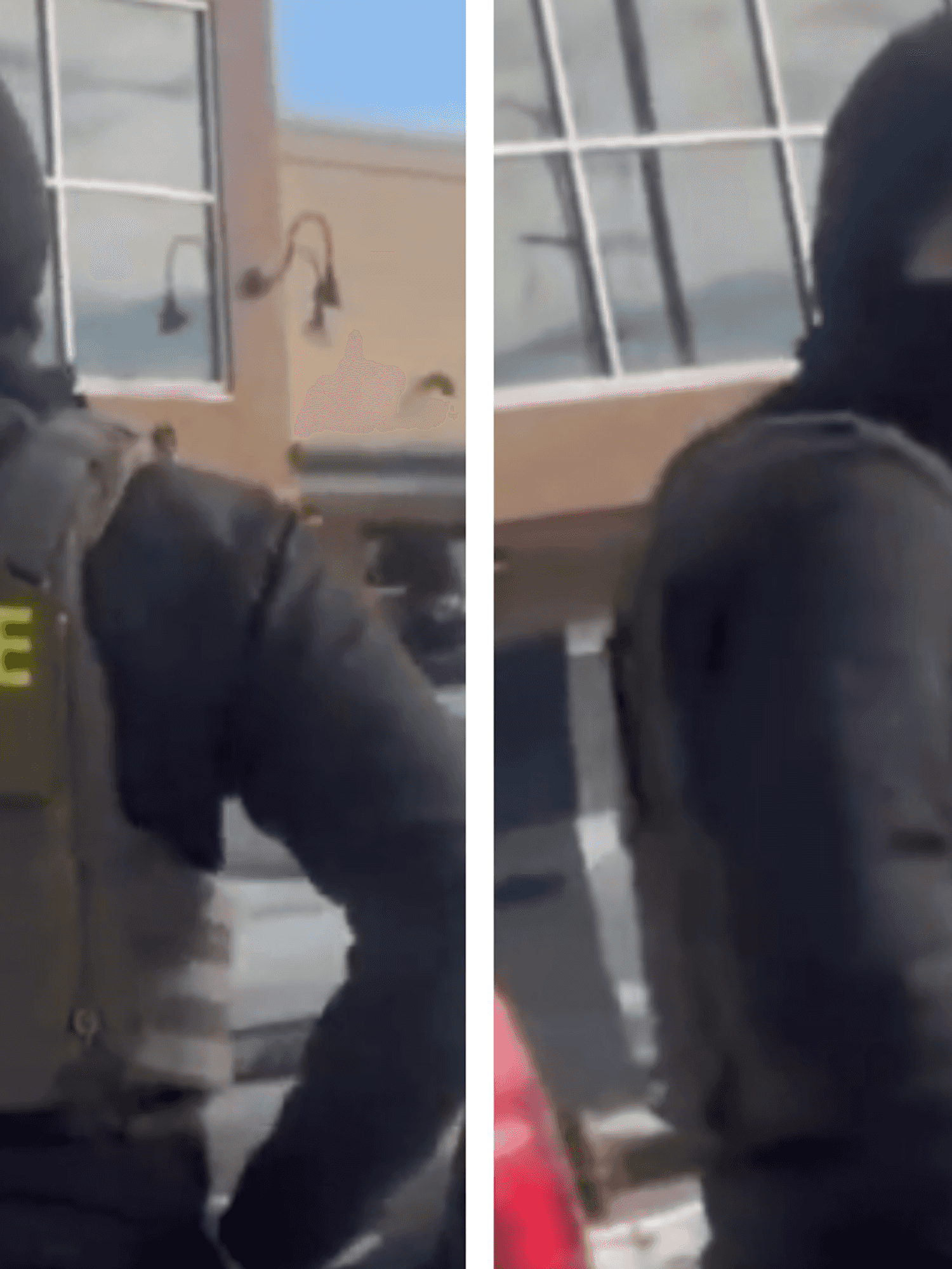 ICE agent roasted after bragging about '$200k salary': 'I'd do this for free'