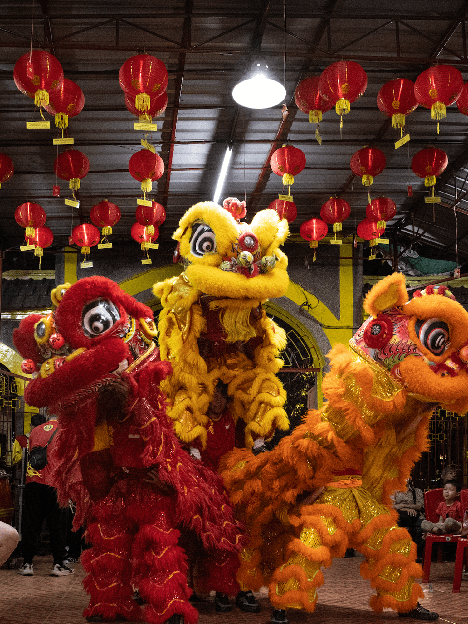 Year of the Fire Horse: 7 things you should avoid for a prosperous 2026