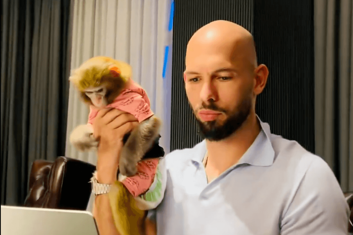 Andrew Tate 'spotted' with monkey - days after claiming he wanted to buy Punch the monkey