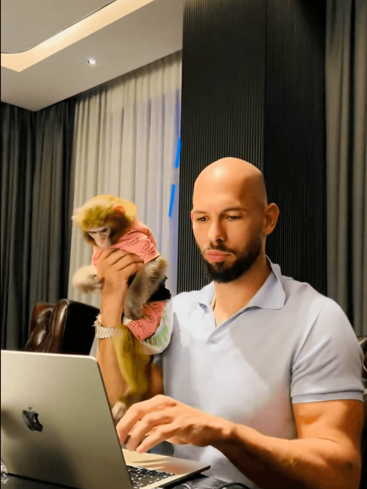 Andrew Tate 'spotted' with monkey - days after claiming he wanted to buy Punch the monkey