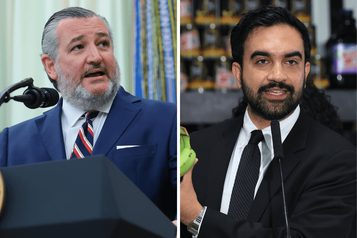 Ted Cruz suggested 'comrade' Zohran Mamdani is a communist – it backfired spectacularly