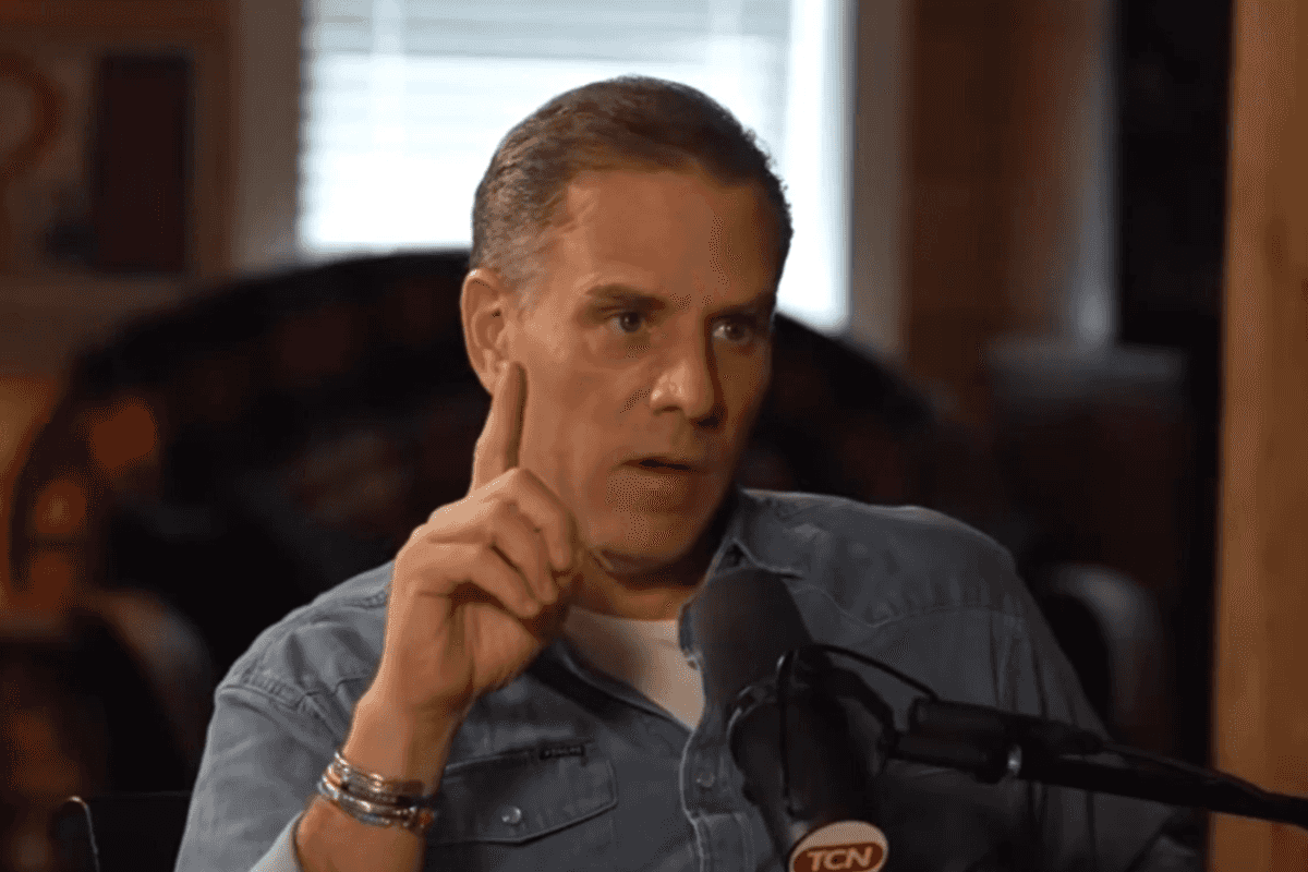 Hunter Biden slams Trump’s presidency in new rant: ‘Can you imagine him benefitting anyone but himself?’