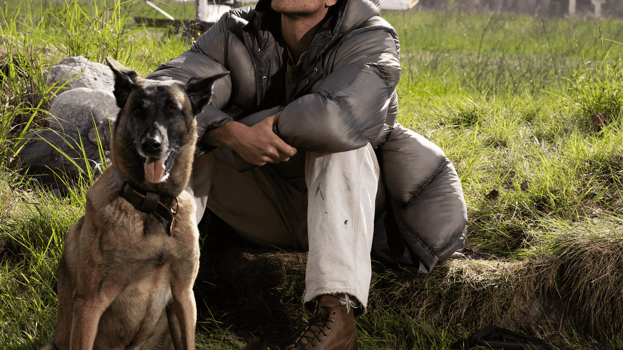 What are critics saying about The Dog Stars starring Jacob Elordi and Margaret Qualley?