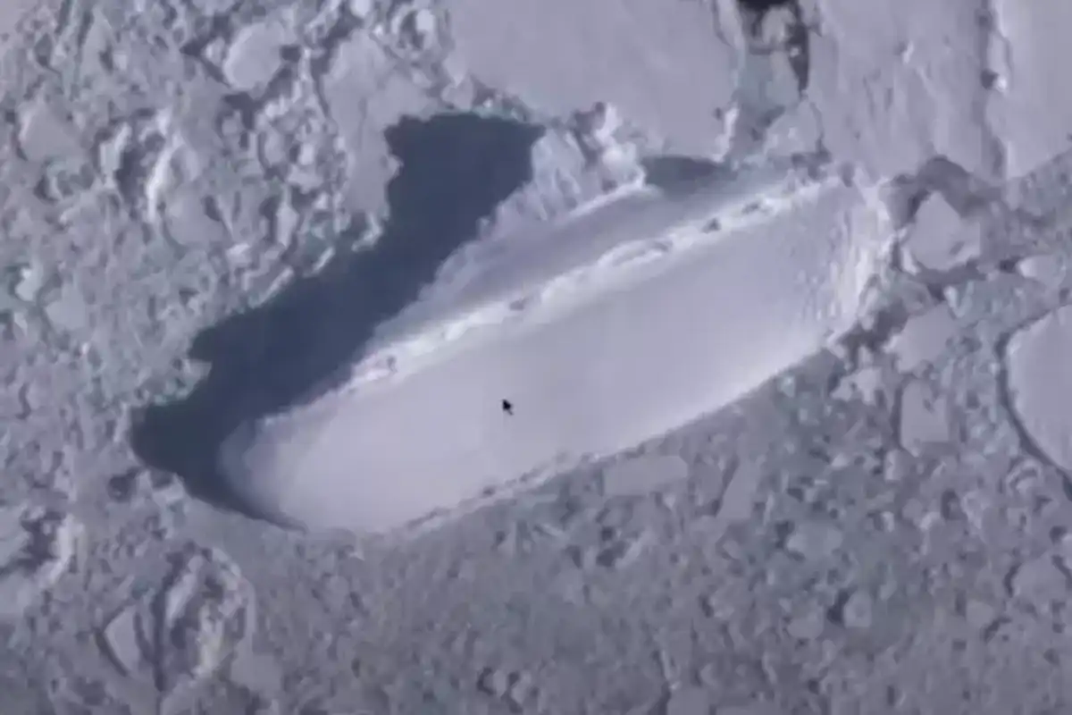 400ft 'ice ship' found in bizarre Antarctica discovery and people have their theories