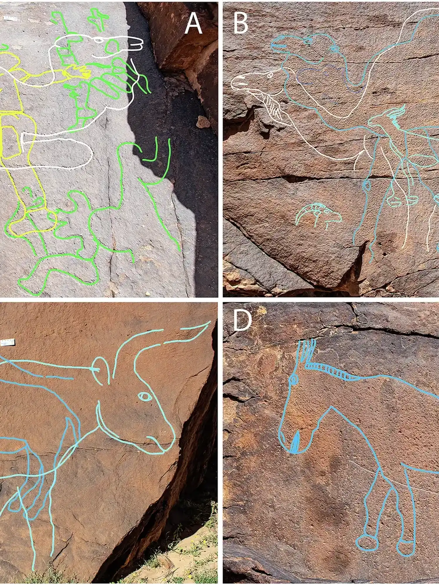 This ancient desert rock contained crucial message for humans 12,000 years ago