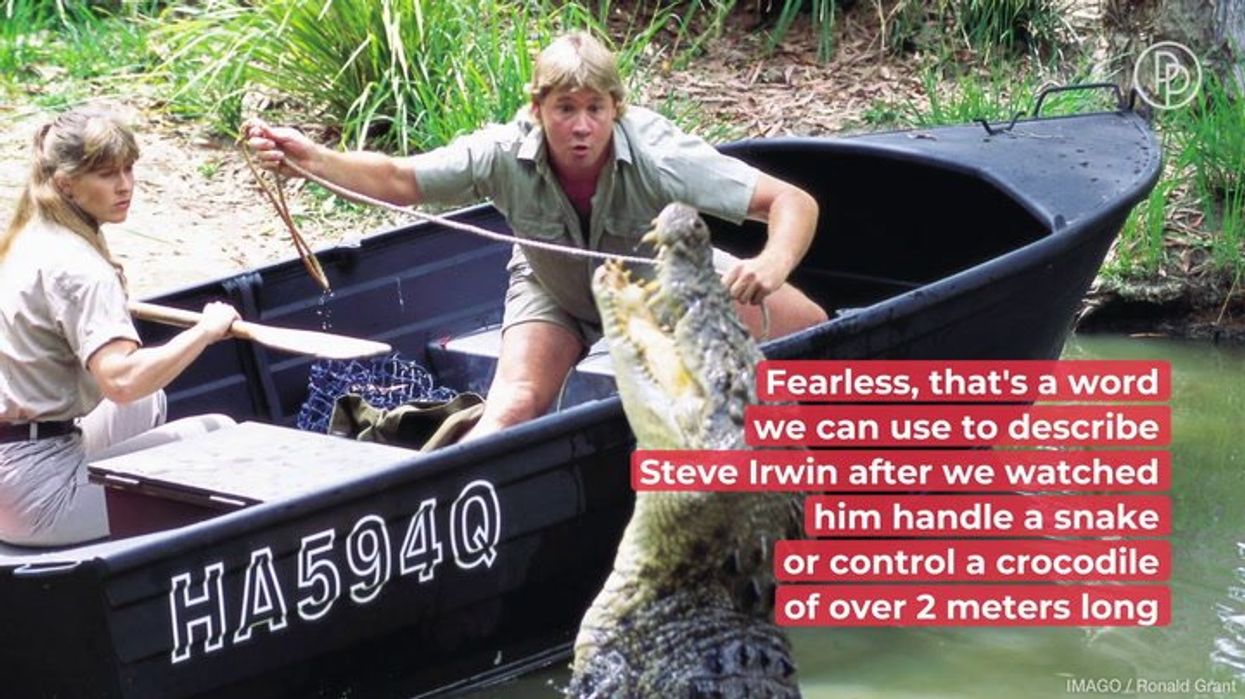 Influencer apologises for dressing up as stingray that killed Steve Irwin