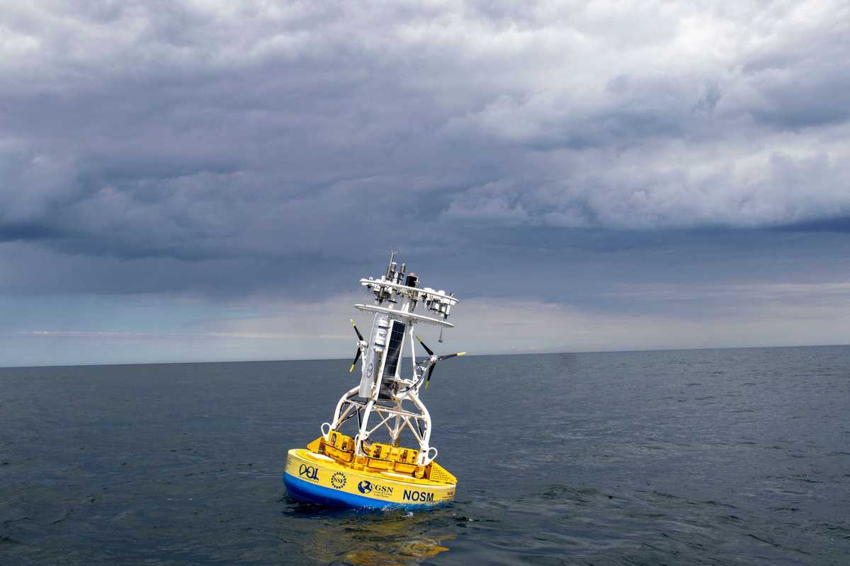 Scientists lose critical ocean research thanks to Trump funding cuts