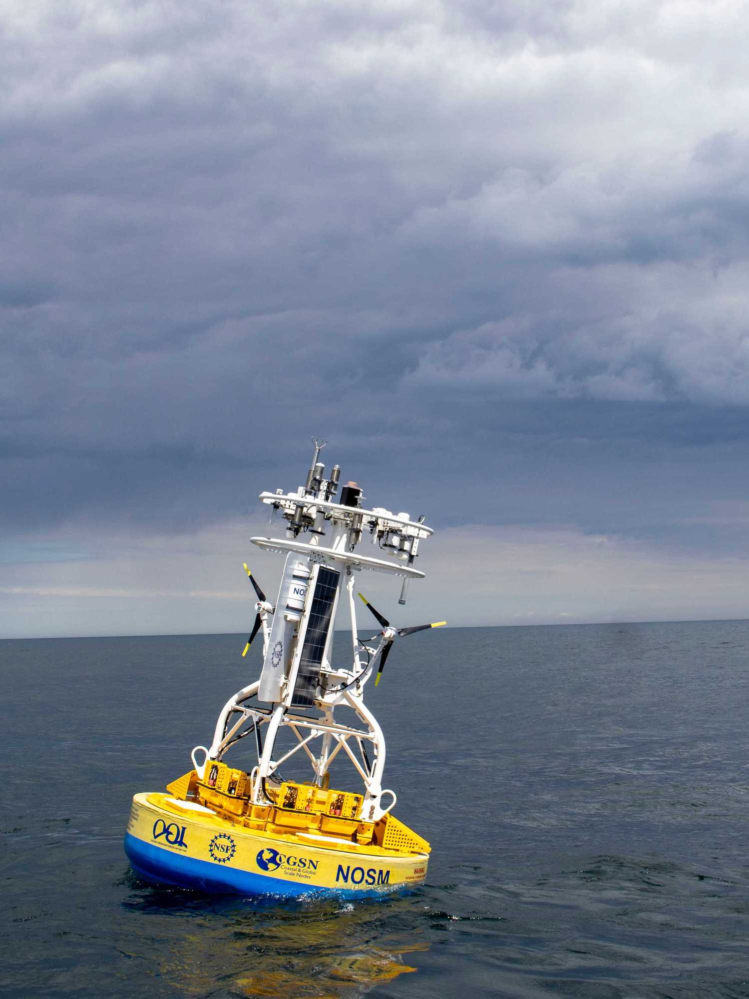 Scientists lose critical ocean research thanks to Trump funding cuts