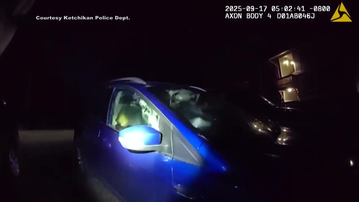 ‘Incessant honking’ gives away black bears on a joyride