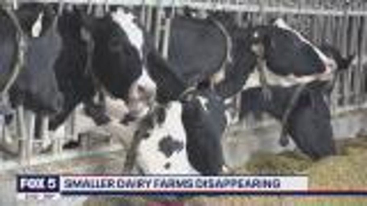 Fox News host says she paid nearly $11 for a gallon of milk and people have questions