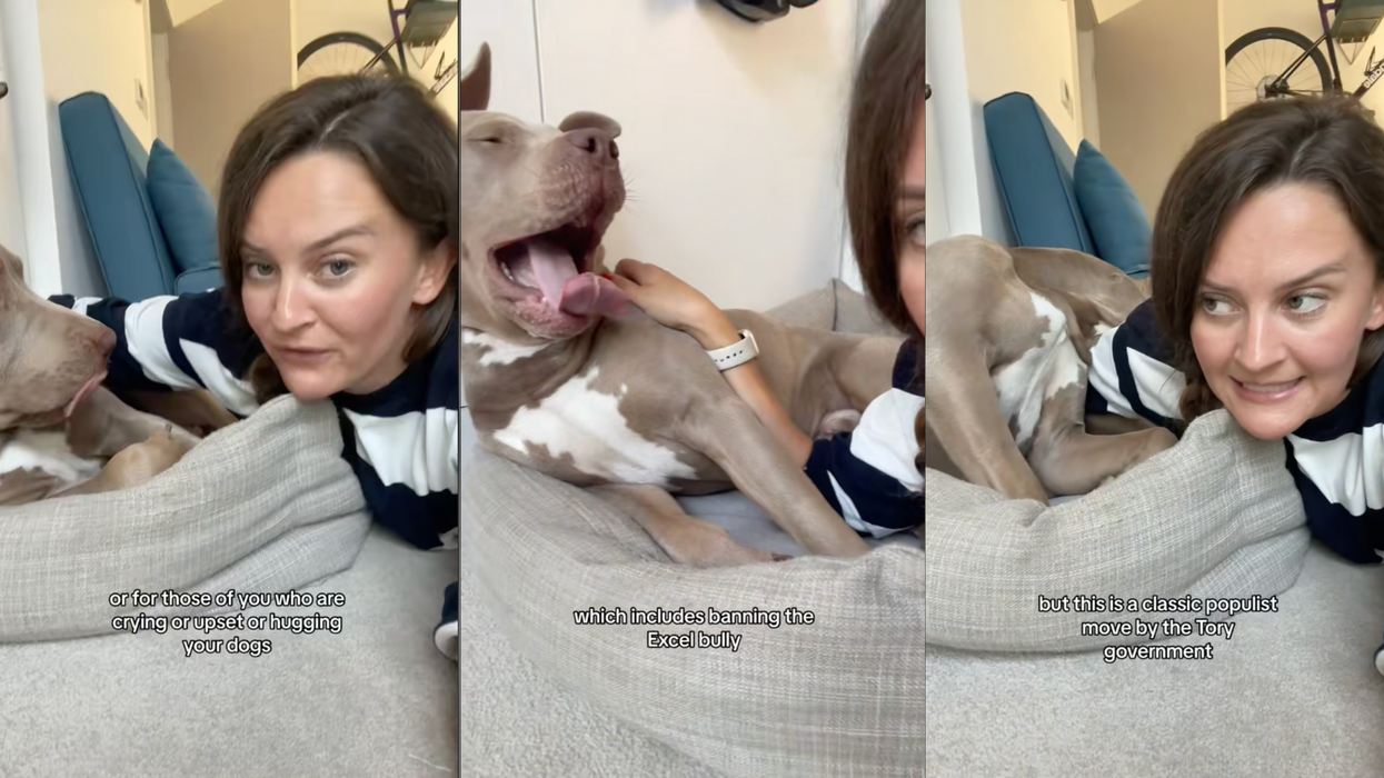Influencer with XL Bully calls ban a “knee jerk reaction”