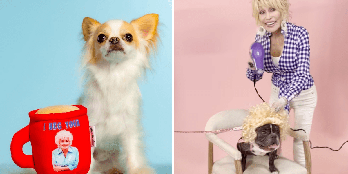 Dog Parton Dolly Parton has a dog accessory line brilliantly called 'Doggy Parton ...