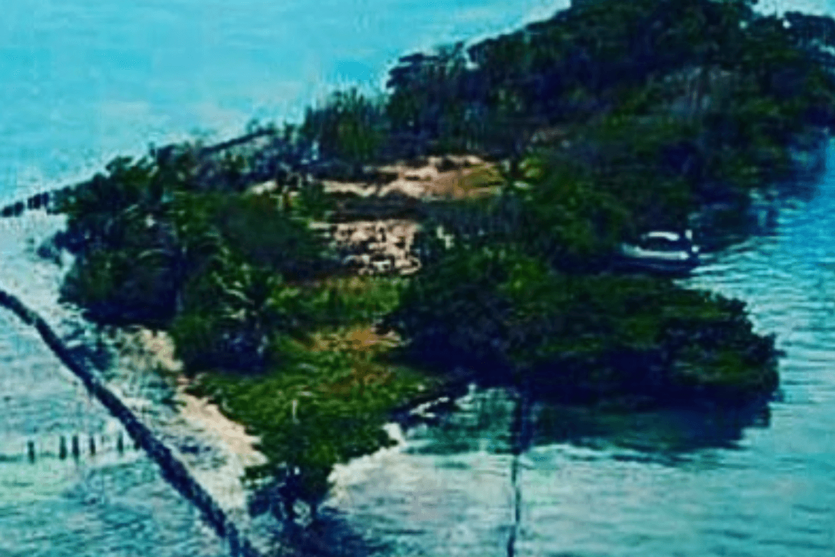 Mates club together to buy their own private island and start their own country