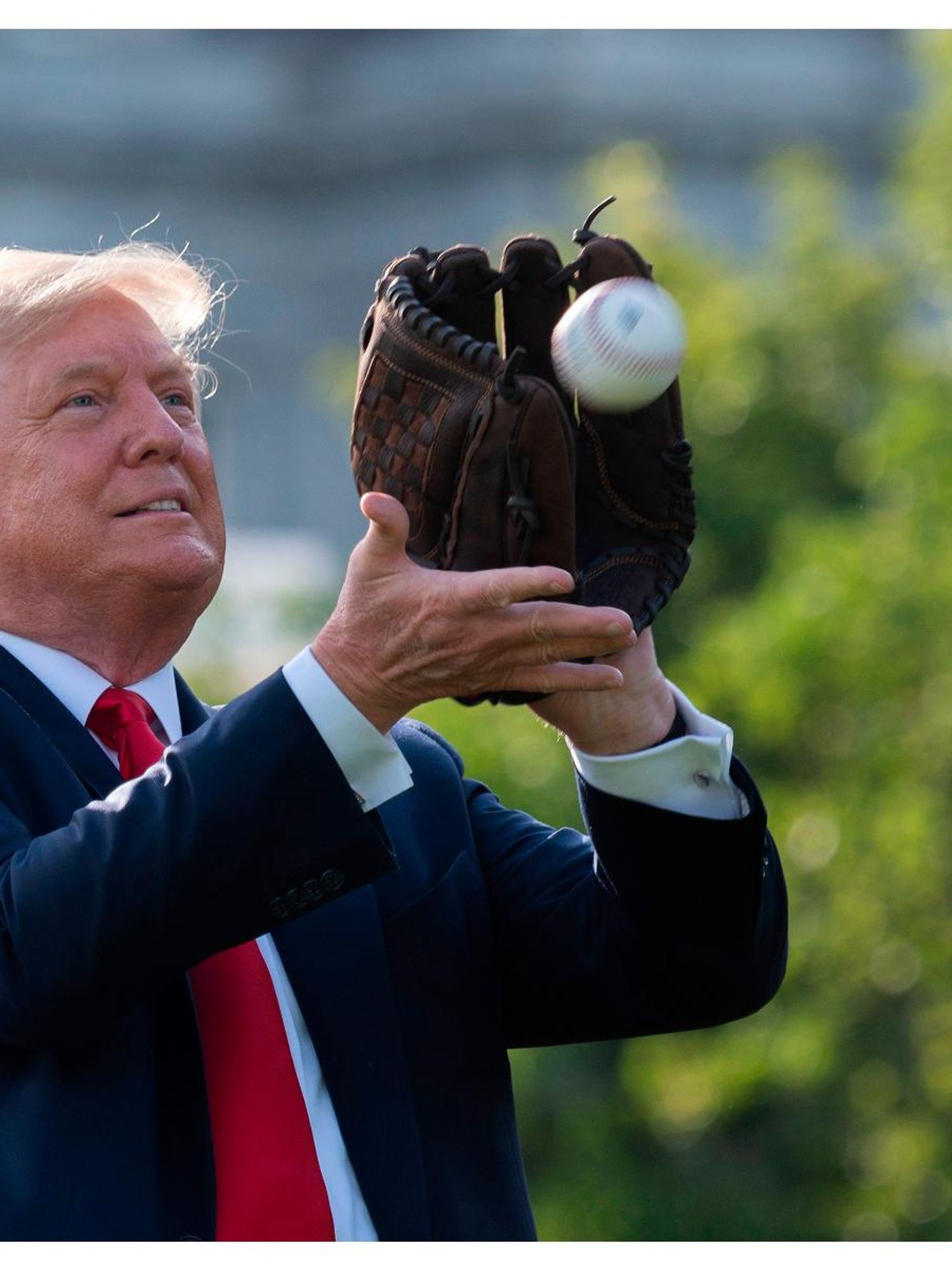 'North Korea vibes': Author mocked for saying Trump had baseball Hall of Fame potential