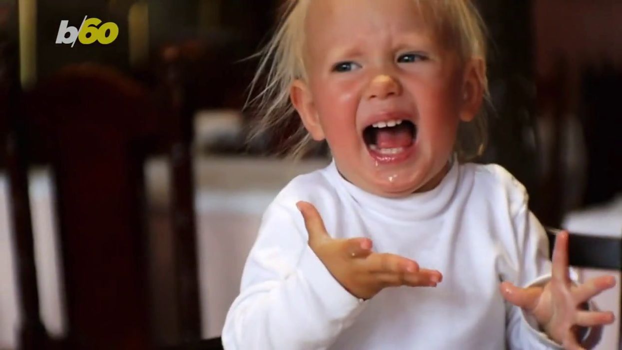 Scientists find 'giant' dinosaur spider fossil in Australia