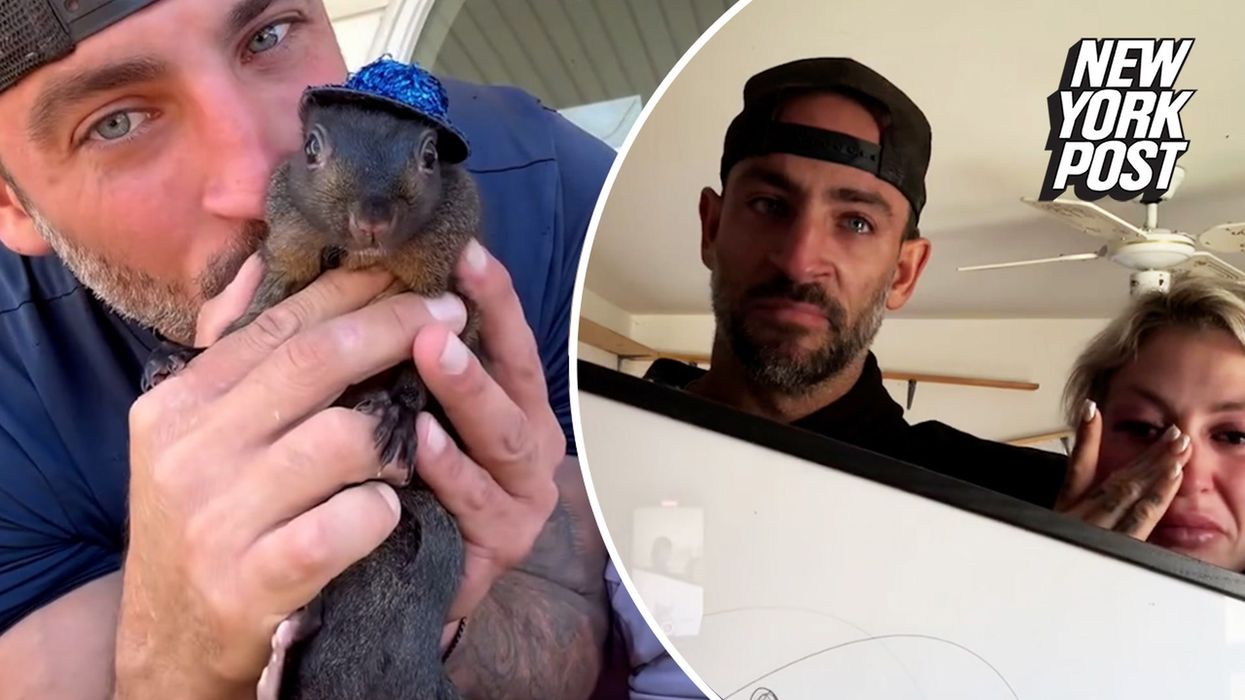 Peanut the squirrel's owners are suing New York for 'executing' their pet