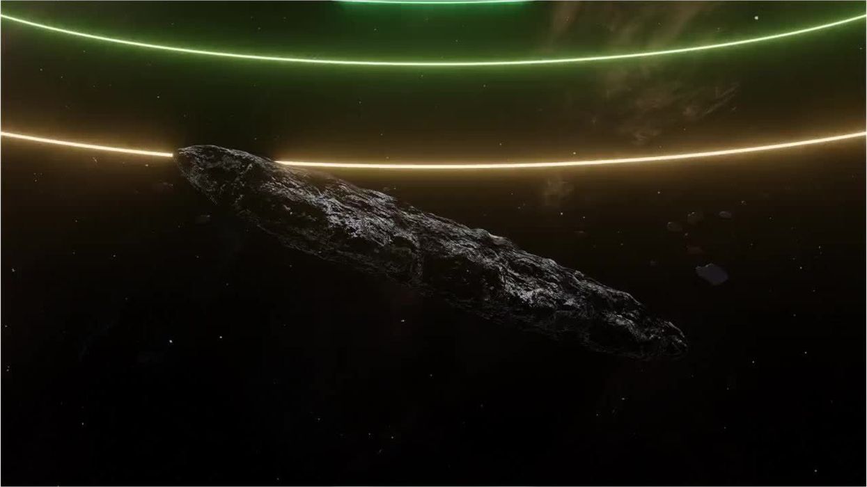 Could bat blood be the key to interstellar space travel?