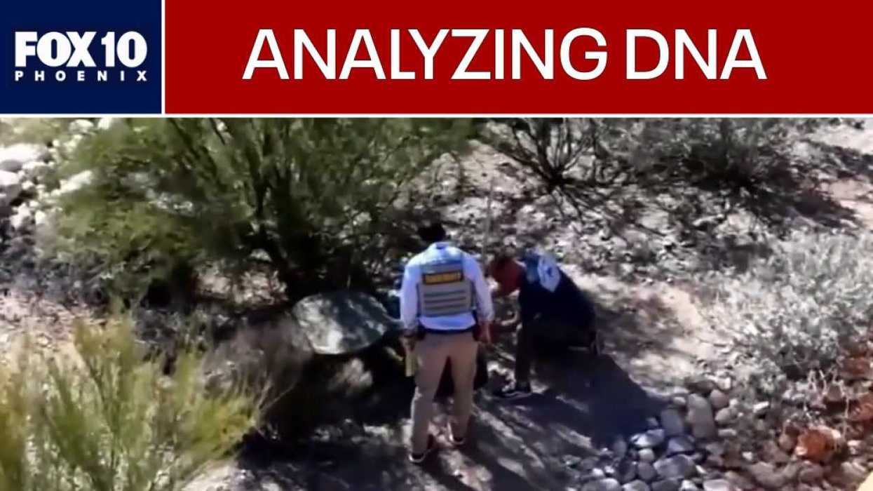 Who is Nancy Guthrie? Everything we know about her disappearance