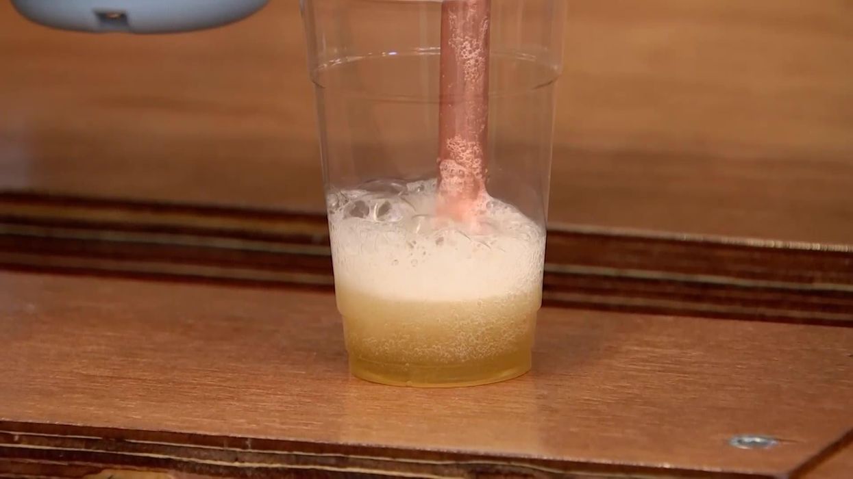 A man gave his microwave artificial intelligence and it tried to 'murder' him