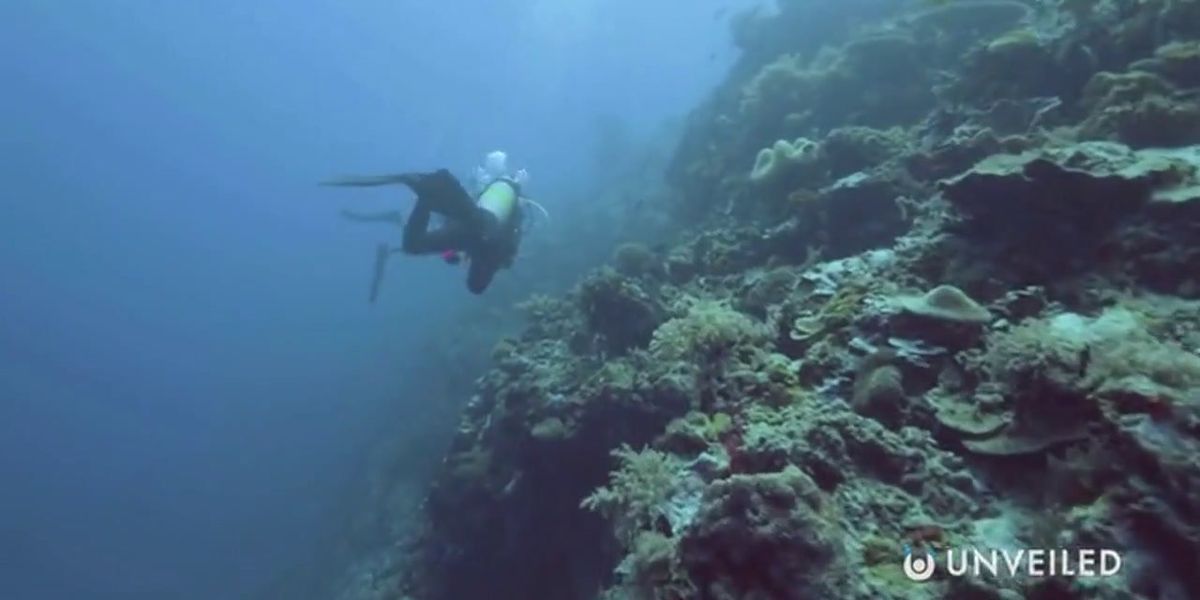 地表よりも多くの水を含む巨大な海が地球の地殻の下に発見されました 地表よりも多くの水を含む巨大な海が地球の地殻の下に発見されました