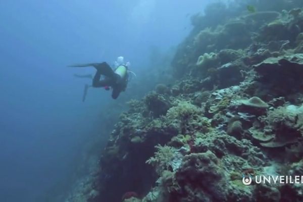 地表よりも多くの水を含む巨大な海が地球の地殻の下に発見されました 地表よりも多くの水を含む巨大な海が地球の地殻の下に発見されました