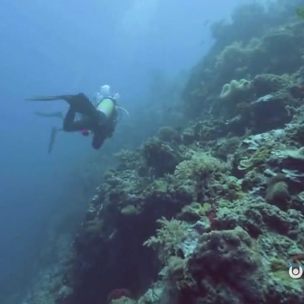 Unter der Erdkruste wurden riesige Ozeane entdeckt, die mehr Wasser enthalten als an der Oberfläche