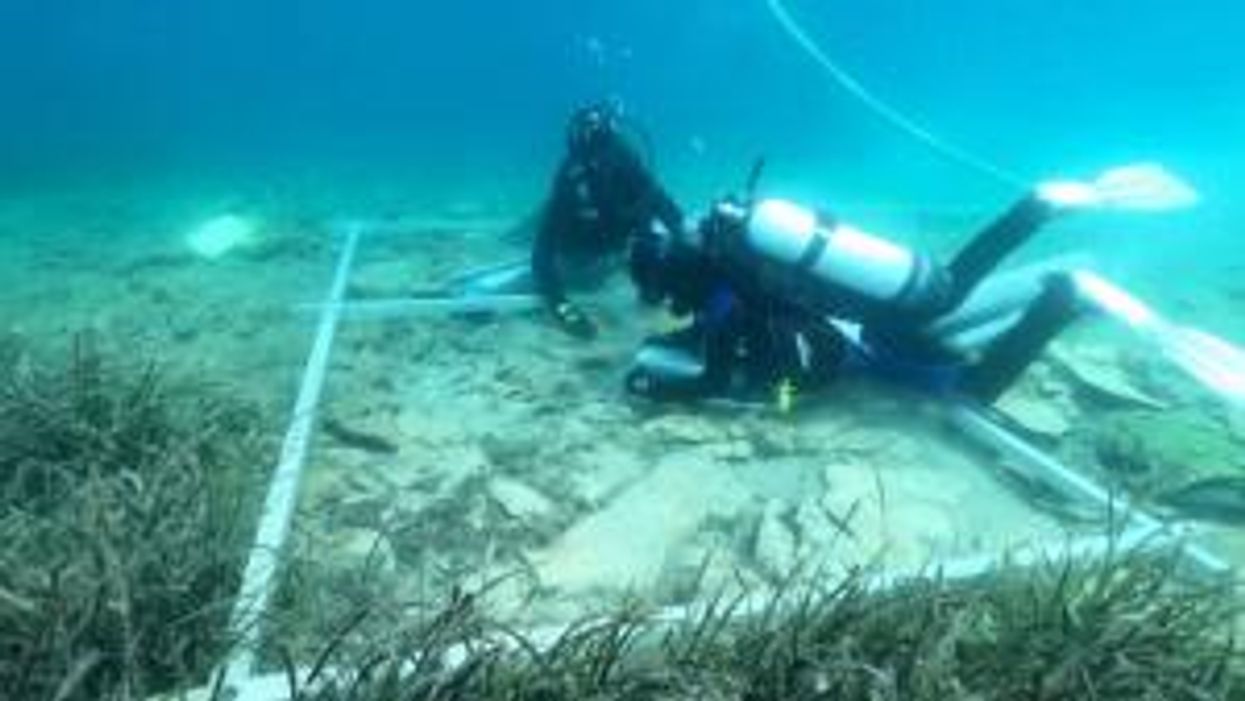 Mysterious 'yellow brick road to Atlantis' found on bottom of ocean