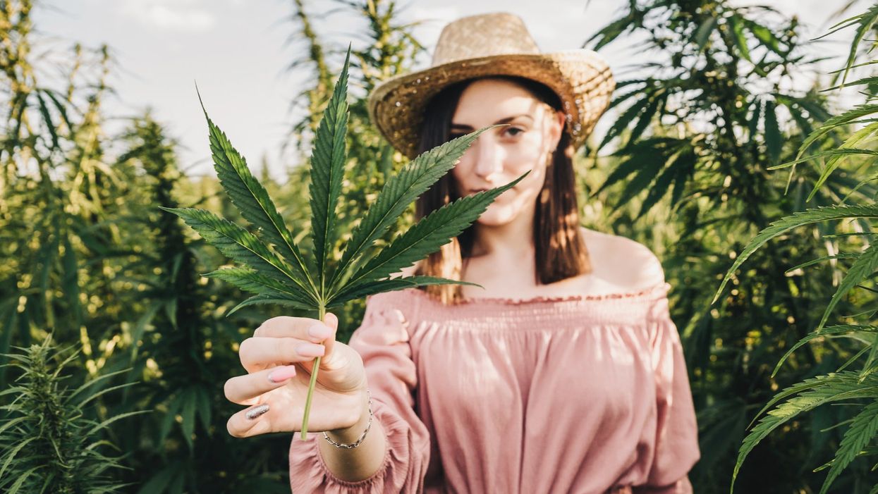 <p>It all started when someone on Twitter labelled a picture of a joint with the different feelings when smoking it.</p>