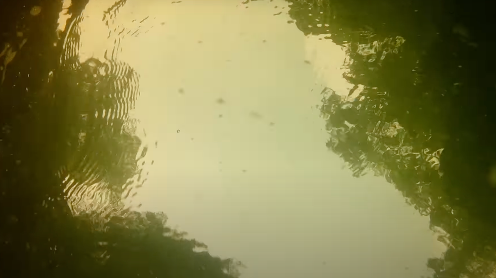 jack a snacks captured the moment the water changes colour when looking back up at the surface