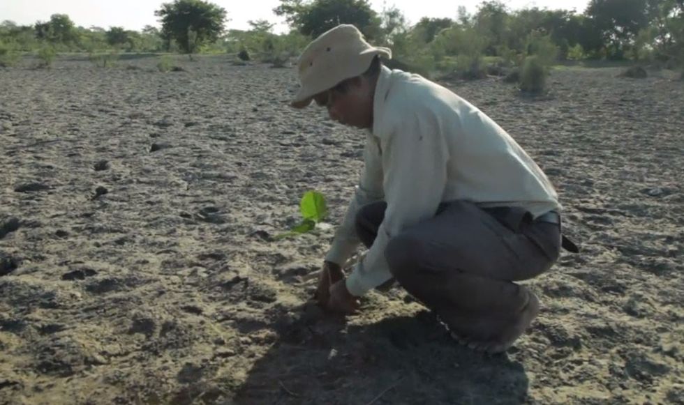 Jadav Payeng planting a tree