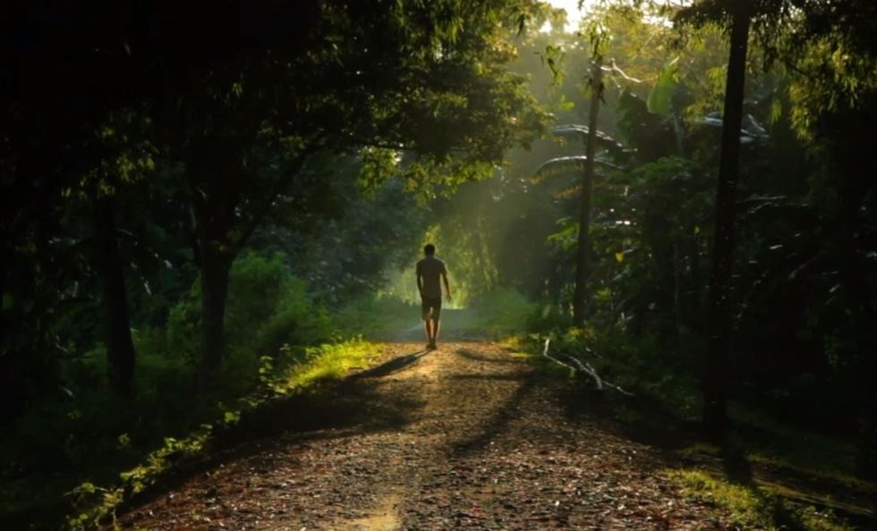 Jadav Payeng walking in his forest