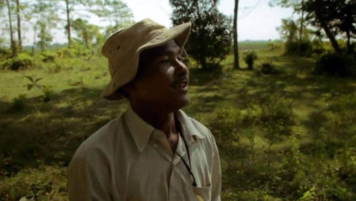 Jadav Payeng
