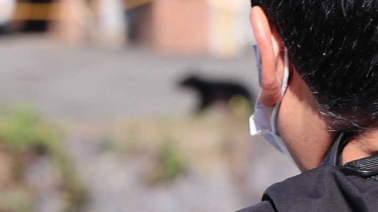 Japan deploys troops to tackle the country's bear attack problem