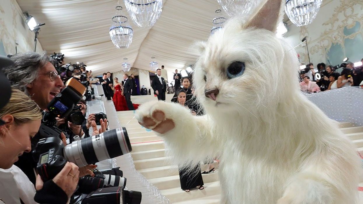 The most hilarious memes from the Met Gala 2023