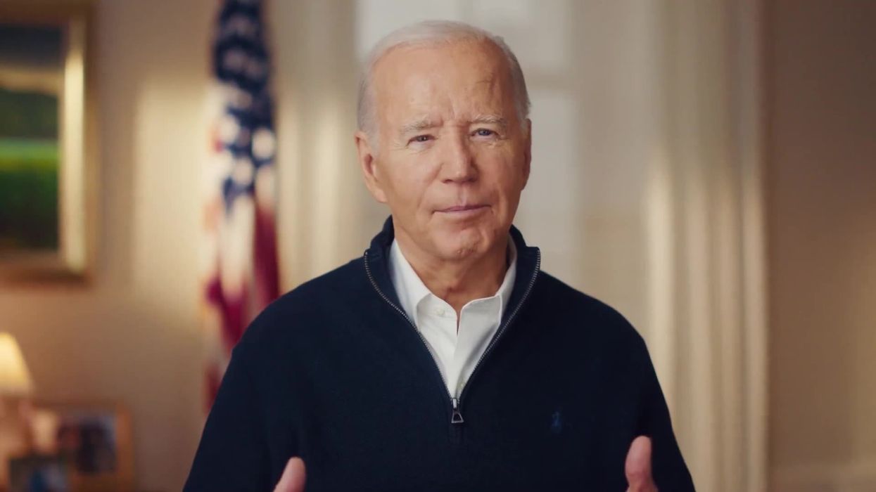 'Literally Anybody Else' set to challenge Biden and Trump in US election