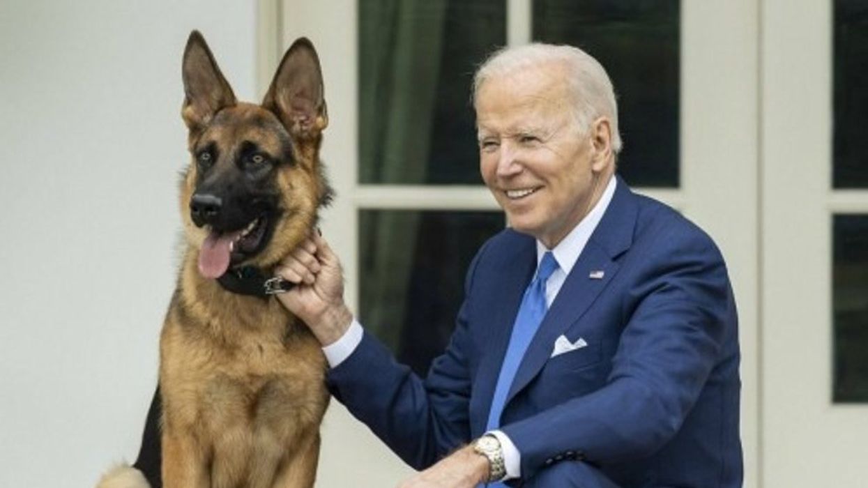 How many people has Joe Biden's dog Commander bitten?