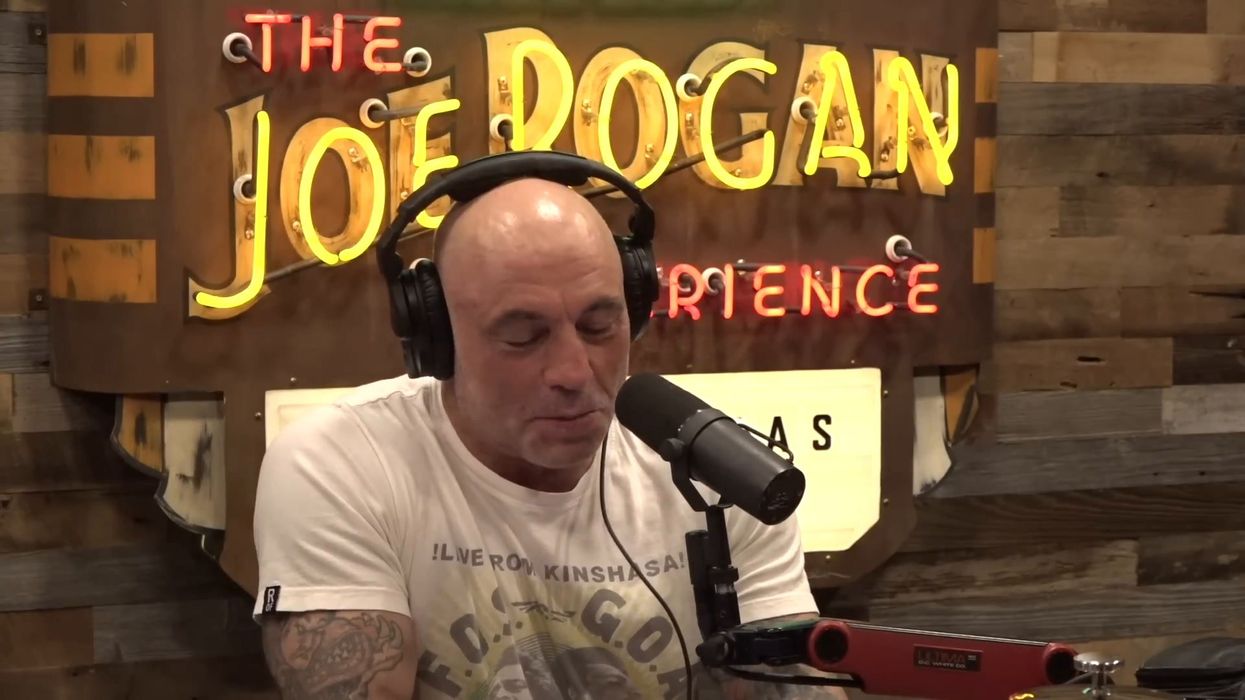 Elon Musk brands Bono a 'liar/idiot' over DOGE USAID cuts claim on Joe Rogan podcast