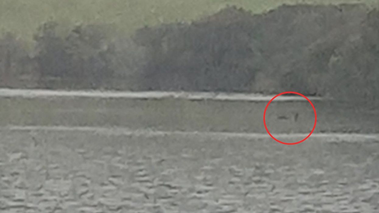 New Loch Ness monster photo is the 'clearest evidence yet'