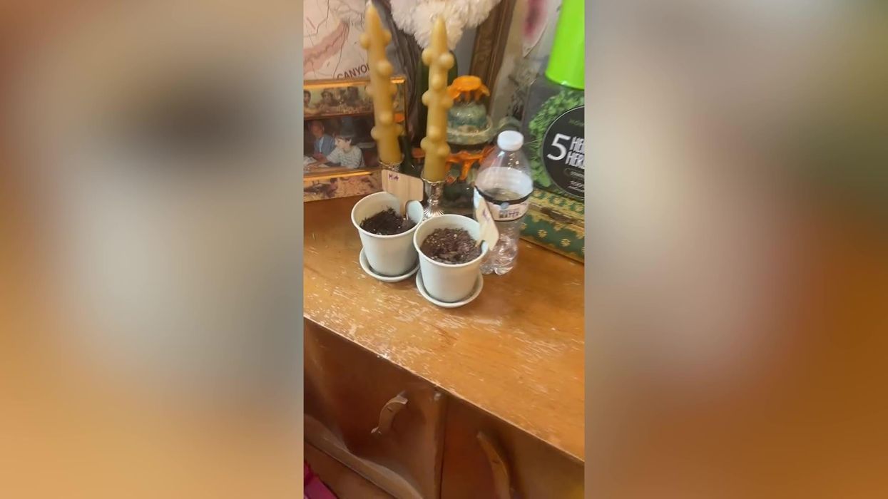 How Julia Fox commented on TikTok mascara trend and caused total chaos