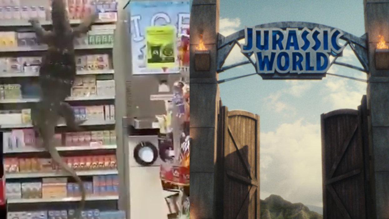 Jurassic World denies involvement with giant lizard running wild in Thai supermarket