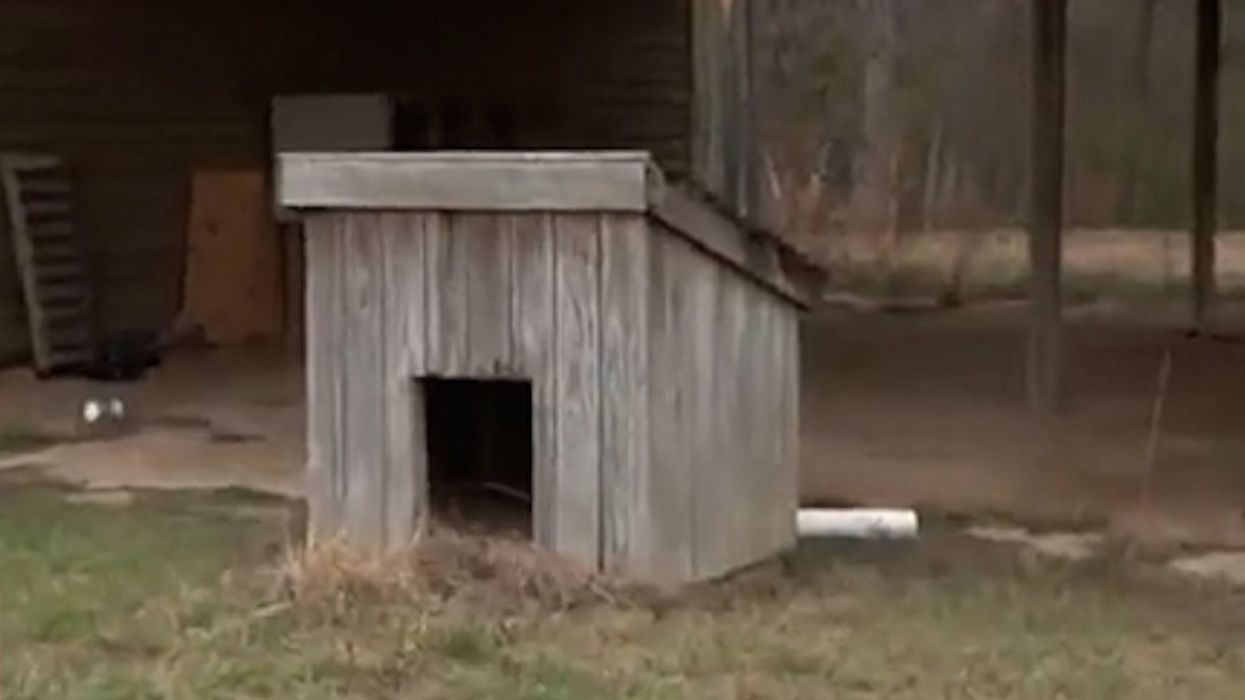 Alex Murdaugh juror dismissed but won't leave without her eggs